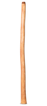 Epoxy Resin Finish Didgeridoo (NW156)